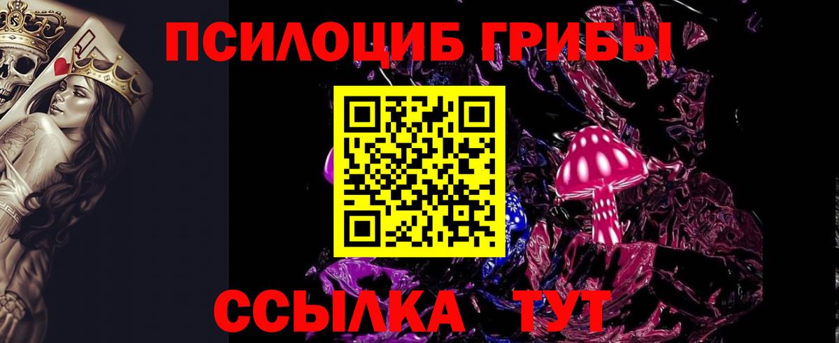 Галлюциногенные грибы MAGIC MUSHROOMS  Вход с VPN  Санкт-Петербург 