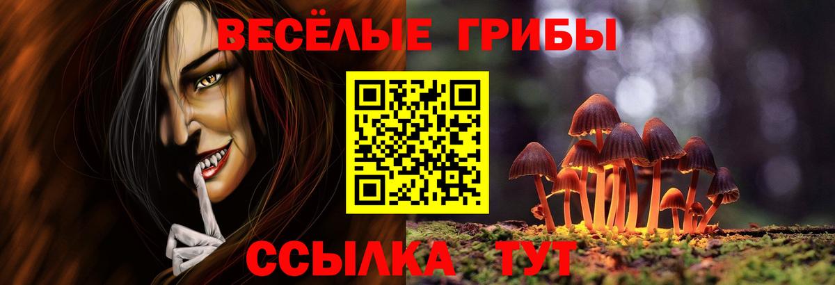 Кокаин  NBOMe  Санкт-Петербург  Меф МЯУ МЯУ   Вход с VPN  Гашиш  Гашиш  Alpha PVP СК   Канабис 